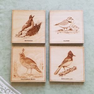 Coasters - Wester Birds Set